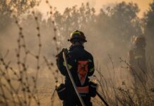 Πυροσβέστης χτυπήθηκε από το ρεύμα ενώ έσβηνε φωτιά