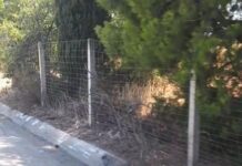 Δήμος Ρήγα Φεραίου: «Δράση καθαρισμού και αποκατάστασης οδικού τμήματος»