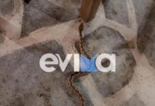 Αναστάτωση σε ταβέρνα από φίδι που περνούσε κάτω από τα τραπέζια (βίντεο)