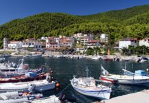 ΛΑΣ Θεσσαλίας: Παραμένει εκκρεμής η αντικατάσταση αμιαντοσωλήνων στο δίκτυο του Ν. Κλήματος Σκοπέλου