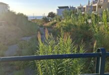 «Παροιμιώδης αδιαφορία- Ακαθάριστο και με φερτές ύλες από τη γέφυρα, το Αλιγαρόρεμα»