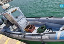 Βόλος: Δύο ψαράδες πιάστηκαν από το Λιμεναρχείο με 2.000 αχινούς