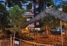 «Κάναμε τραμπάλα με τον γιο και την κόρη μου και ξαφνικά έπεσε το δέντρο»