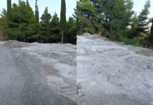 Μπετονιέρα άδειασε μπετό δίπλα στο δάσος της Κουκουράβας (video)