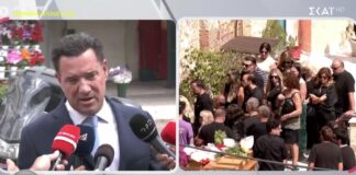 Γεωργιάδης: Συγγνώμη από την οικογένεια Μαζωνάκη που το σύστημα δεν μπόρεσε να τον προστατεύσει από κάτι πάρα πολύ άσχημο
