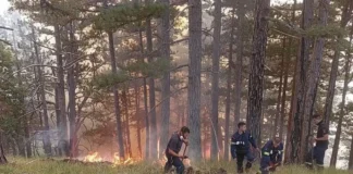 Η μάχη των δασοκομάντος με τις φλόγες στην Κόνιτσα, καλύτερη η εικόνα της πυρκαγιάς, δείτε βίντεο και φωτογραφίες
