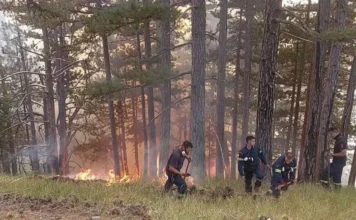 Η μάχη των δασοκομάντος με τις φλόγες στην Κόνιτσα, καλύτερη η εικόνα της πυρκαγιάς, δείτε βίντεο και φωτογραφίες
