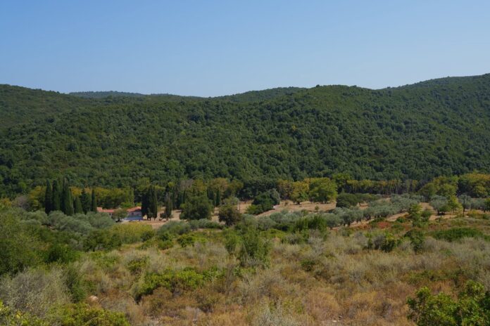 n pilio aiolika