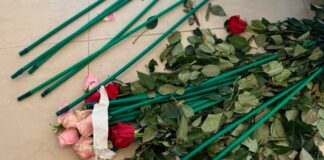 Τα τριαντάφυλλα έκρυβαν 84 κιλά κοκαΐνης (φωτογραφίες)
