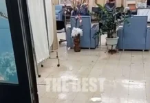 Με νερά από τη βροχή πλημμύρισε κτίριο στο νοσοκομείο «Άγιος Ανδρέας» στην Πάτρα – Απίστευτες εικόνες
