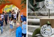 Μεγάλη συμμετοχή στο Pinakates Trail Run