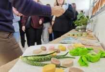 Το 1ο ΕΠΑΛ Ν.Ιωνίας ολοκλήρωσε το ευρωπαϊκό πρόγραμμα “Plant&Paint”