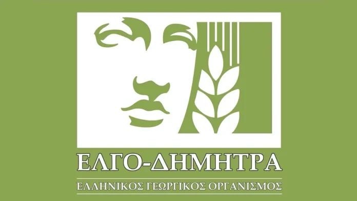 elgo-dimitra