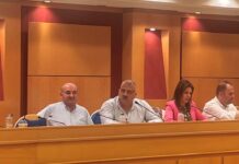 «Ναι» από ΚΕΔΕ για ένταξη της ελιάς Πηλίου στη συνδεμένη εισοδηματική στήριξη στη νέα ΚΑΠ
