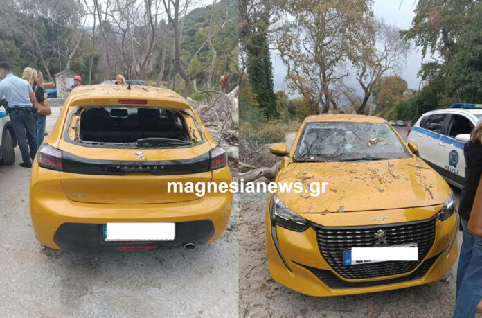 peugot208_alli_meria