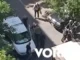 Άγρια συμπλοκή στη μέση του δρόμου – Άνοιξε την πόρτα του βαν, τράβηξε έξω και ξυλοκόπησε τον οδηγό